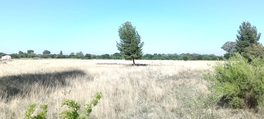 3 Bedroom Property for Sale in Groenvlei Free State